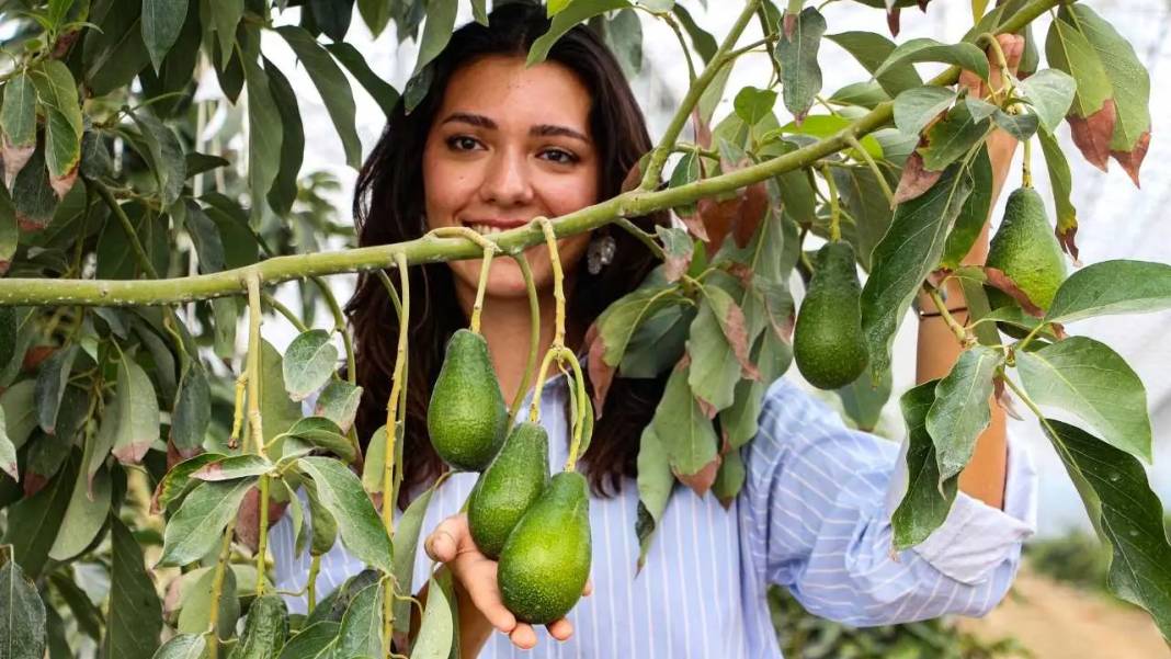 Adana’da 4 Kuşaklık Aile Mirası Tropikal Cennete Dönüştü! 3